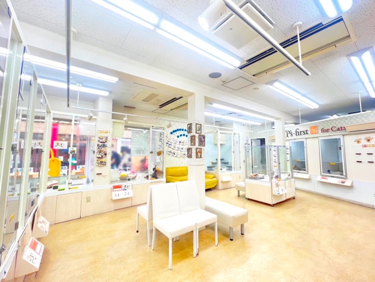 ペッツファーストfor cats武蔵小山店の店舗写真